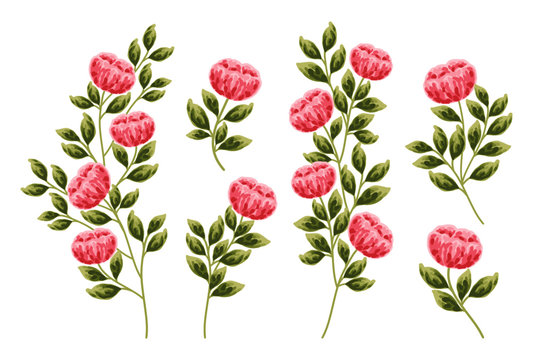 Red peonies, daisy, and green leafs. Beautiful hand-drawn flower vector elements for wedding invitation, clip art, or flower poster