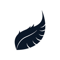Isolated feather plume silhouette style icon vector design