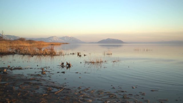 Man glides over lake in powered parachute