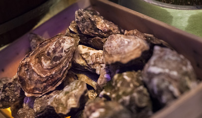 Selective Focused Thai Fresh Seafood: fresh delicious oysters, normally eaten raw with squeezed lime juice or chili paste. Nutrition, Food , Cuisine, Thai Traditional Dish and Thailand Gourmet concept