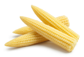 Delicious baby corn, isolated on white background