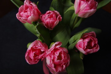 Yellow red tulips bouquet on black baclground