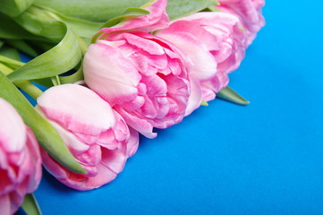 Yellow red tulips bouquet on black background