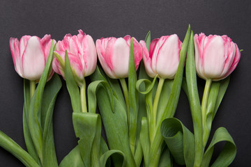 Yellow red tulips bouquet on black background