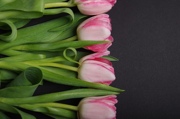 Yellow red tulips bouquet on black background