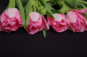 Yellow red tulips bouquet on black background