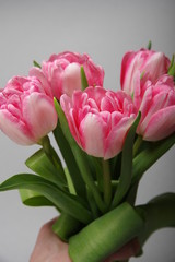 Yellow red tulips bouquet on gray background