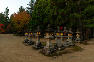 Fototapeta premium 夜明けの空と寺の建築物と樹木