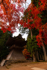 真っ赤な紅葉と寺の建物