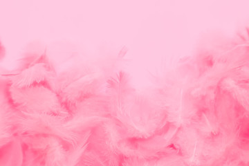 Beautiful abstract colorful white and pink feathers on white background and soft white feather texture on white pattern and light pink background valentine day