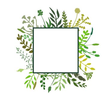Square floral frame great to place any text, quote or logo. Border made of hand drawn greenery, flowers, twigs, herbs. Square banner design great for spring or summer rustic theme. Vector