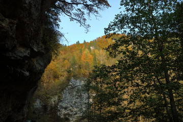 Mountain stream in a narrow canyon.
