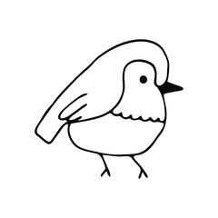 Hand drawn little bird in black lines. Vector illustration.