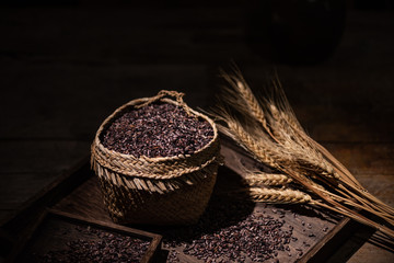 Black rice with dark environment