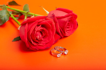 Diamond rings and gift boxes on roses