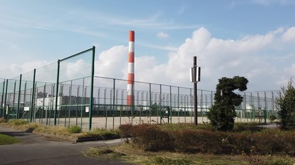 夢の島緑道公園 サイクリングロード Wall Mural Wallpaper Murals Kawamura Lucy