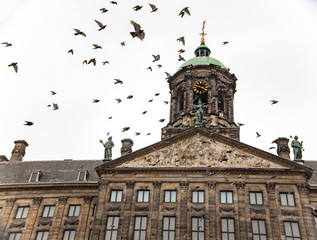 building in the amsterdam