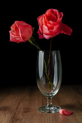 a few pink roses put in champagne glass on dark color wooden table