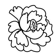 Vector single Peony. Botanical illustration doodle black line art on a white isolated background.Design for social media,web,cards,textiles, wrapping paper,packaging,prints,coloring.