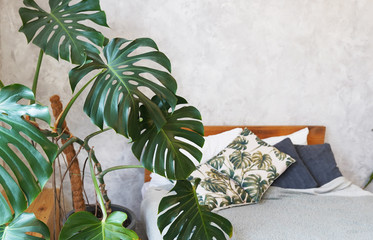 vintage urban bedroom grey bedspread green plants and warm colors