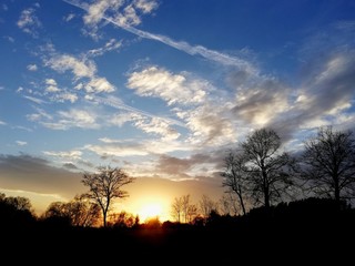 sunset in forest