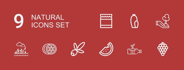 Editable 9 natural icons for web and mobile