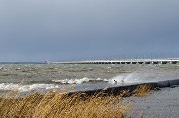 Windy day by the bridge © olandsfokus
