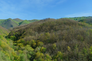 Fototapeta na wymiar spring landscape in the Italy