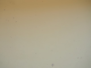 Old grey concrete wall background with stains .Concept is decorate,abstract ,construction.