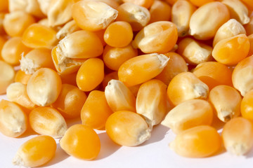 Pile of dried corn. Texture background.