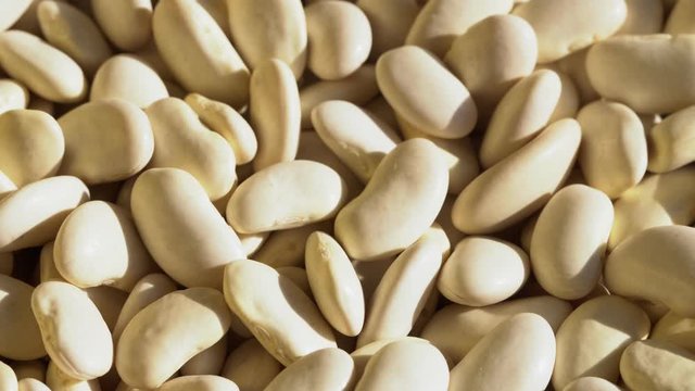 Vegan protein sources. Beans white
