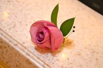 red rose on wooden background