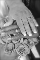 wedding rings on hands