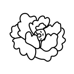 Vector single Peony. Botanical illustration doodle black line art on a white isolated background.Design for social media,web,cards,textiles, wrapping paper,packaging,prints,coloring.