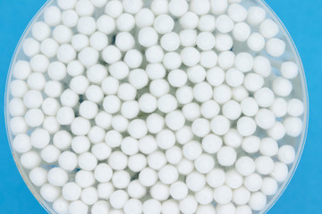 Cotton buds in box on blue background.