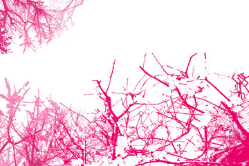 絵画・花咲くころ・・