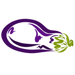 ripe purple eggplant, pattern on a white background