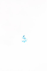 Color splash in water. Ink splash in water. Farbspritzer in Wasser vor weißem Hintergrund.