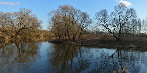 Walking through the forest, beautiful panorama.