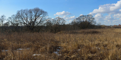 Walking through the forest, beautiful panorama.