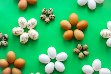 eggs on a green background. horizontal image, top view