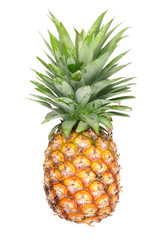 single whole pineapple isolated on white backgroun