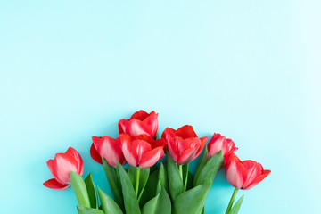 Flowers composition romantic. Red tulip flowers on pastel blue background. Valentine's Day, Easter, Birthday, Happy Women's Day. Flat lay, top view, copy space