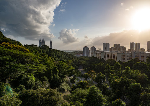 View from the Henderson Waves bridge in Singapore