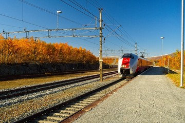 Train arriving on the station with autumn forest around and a blue sky. 
