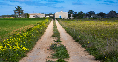 Road to the house of El Pilar de la Mola, Formentera, Balearic Islands