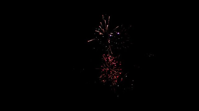 sparkling delightful fireworks in the night sky