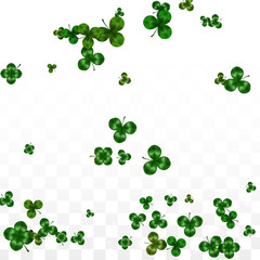 Vector Clover Leaf  Isolated on Transparent Background with Space for Text. St. Patrick's Day Illustration. Ireland's Lucky Shamrock Poster. Invintation for Concert in Pub. Top View. Success Symbols.