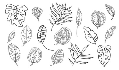 The vector set tropical leaves monsters, banana, palm trees,calathea.Botanical illustration black line art on a white isolated background.Design for web,social networks,stickers, cards,packaging.