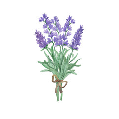 Provence lavender flowers bouquet isolated on white background. Hand drawn watercolor illustration. - 326903864